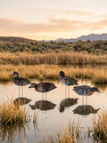 Core green-wing teal silhouette decoys